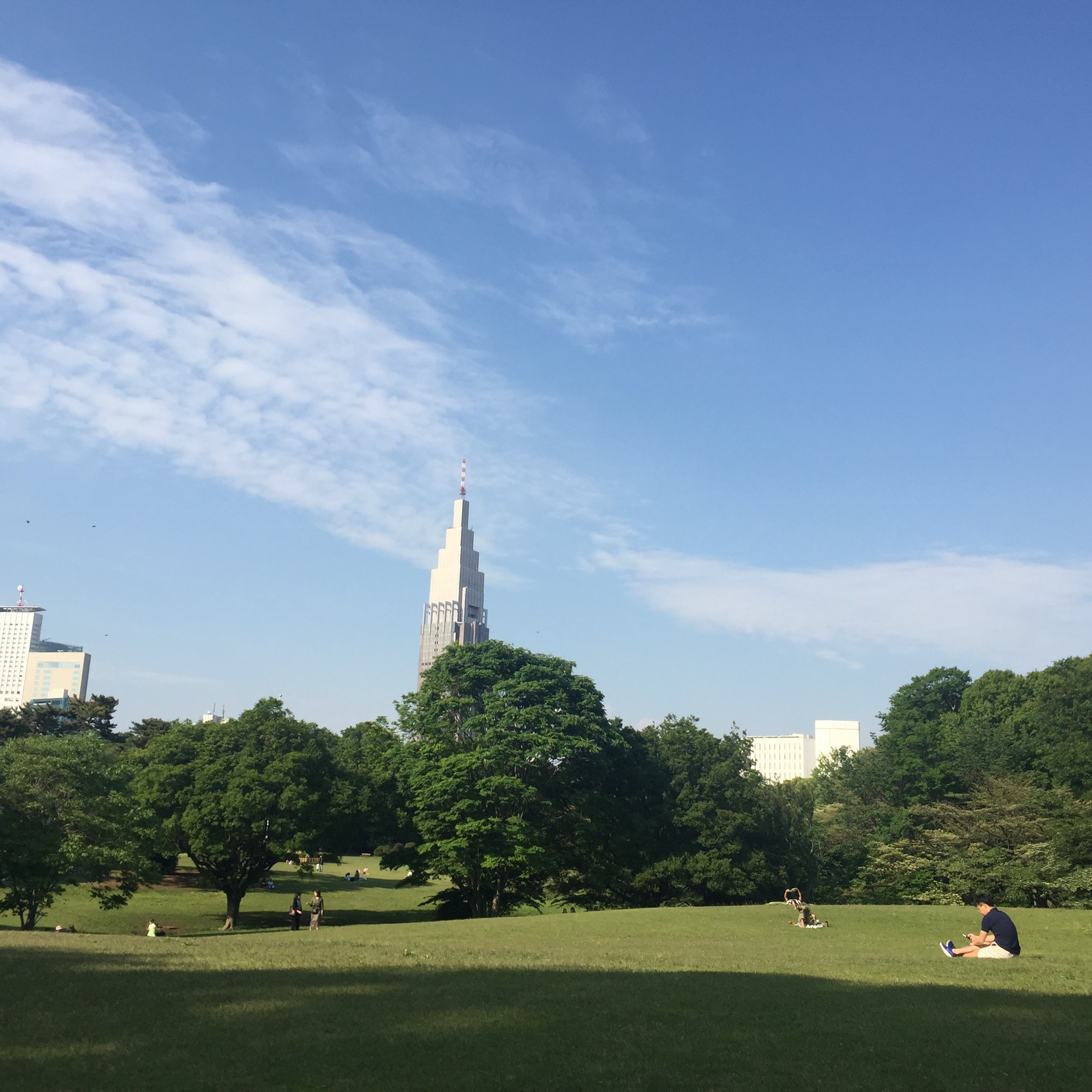 東京パワースポット 明治神宮の隠れたパワースポット 亀石 色と植物